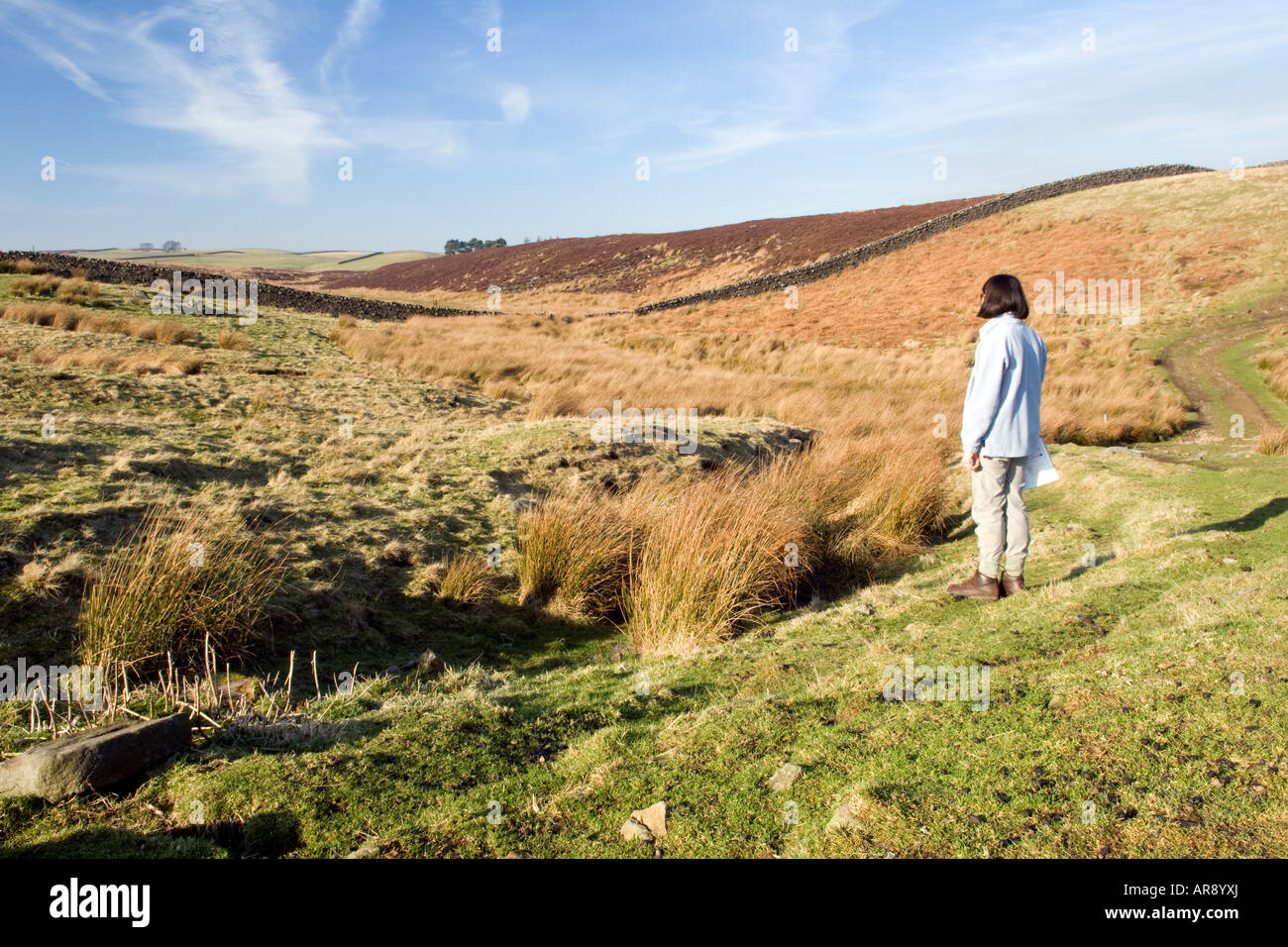 Walker pausing to admire a rich moorland landscape Stock Photo