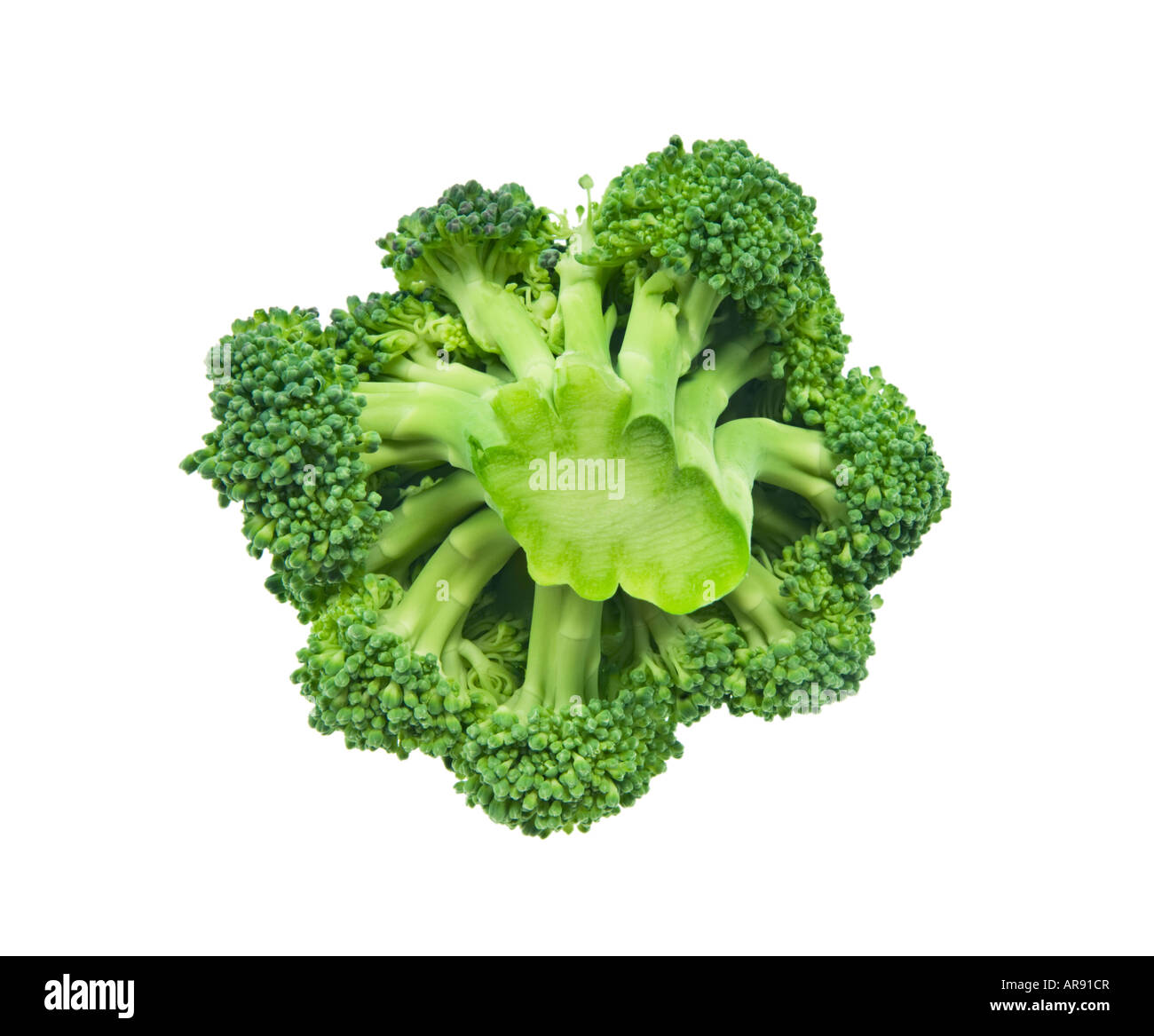 brokkoli broccoli sprout single one leaves leaf Stock Photo
