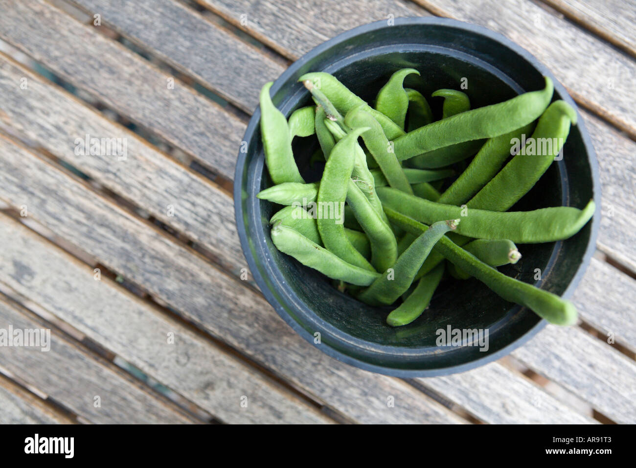 Growing runner beans in pot hires stock photography and images Alamy