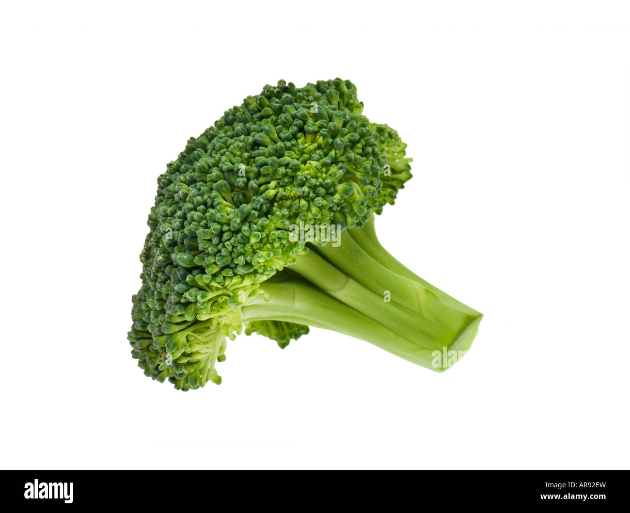 brokkoli broccoli sprout single one Stock Photo