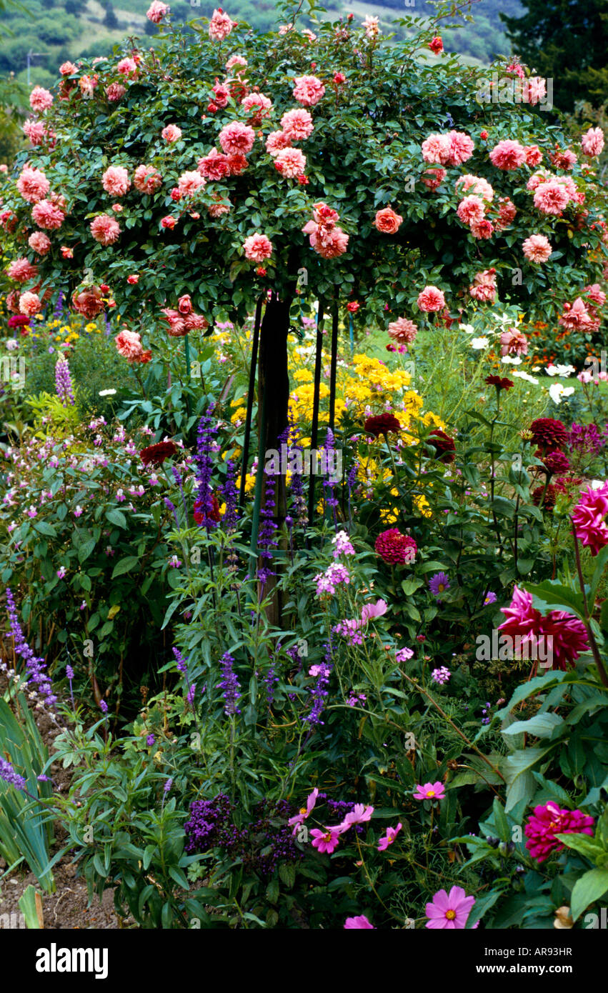 Roses in the colourful garden at Giverny Stock Photo
