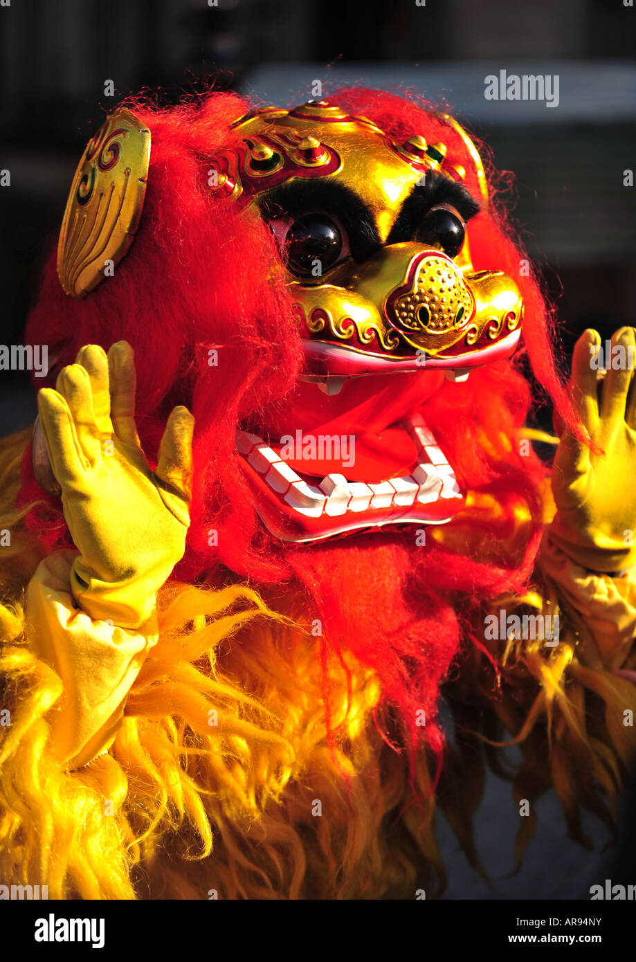 Lion dance chinese new year hi-res stock photography and images - Alamy