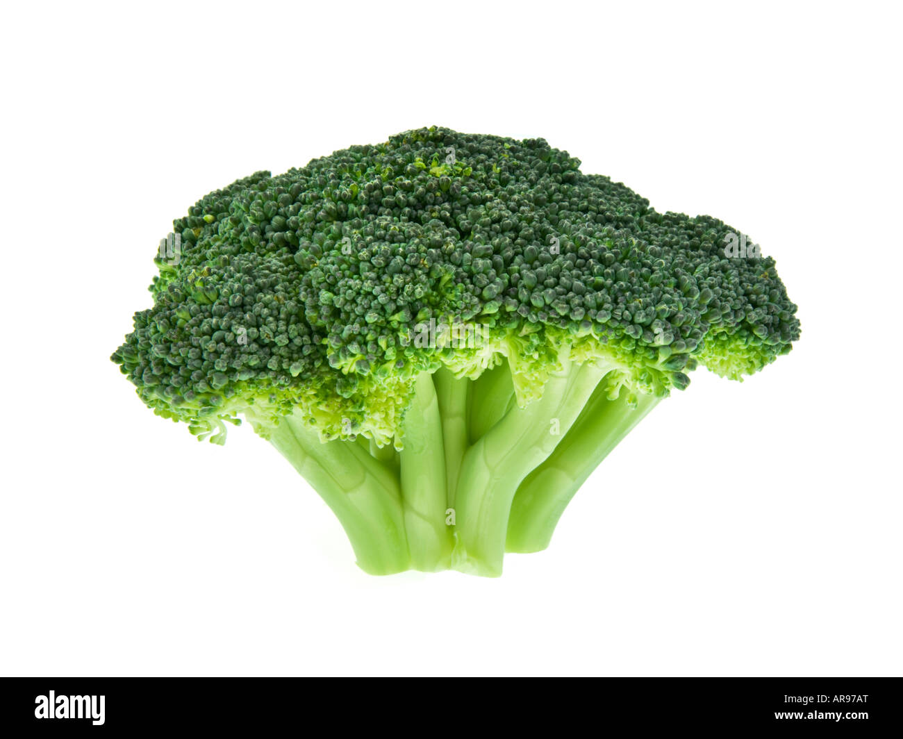 brokkoli broccoli sprout single one Stock Photo