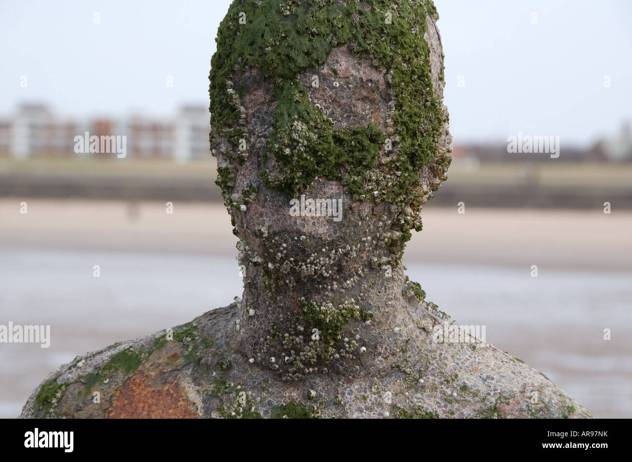 Anthony Gormley statue on Crosby Beach, Merseyside, UK Stock Photo Alamy