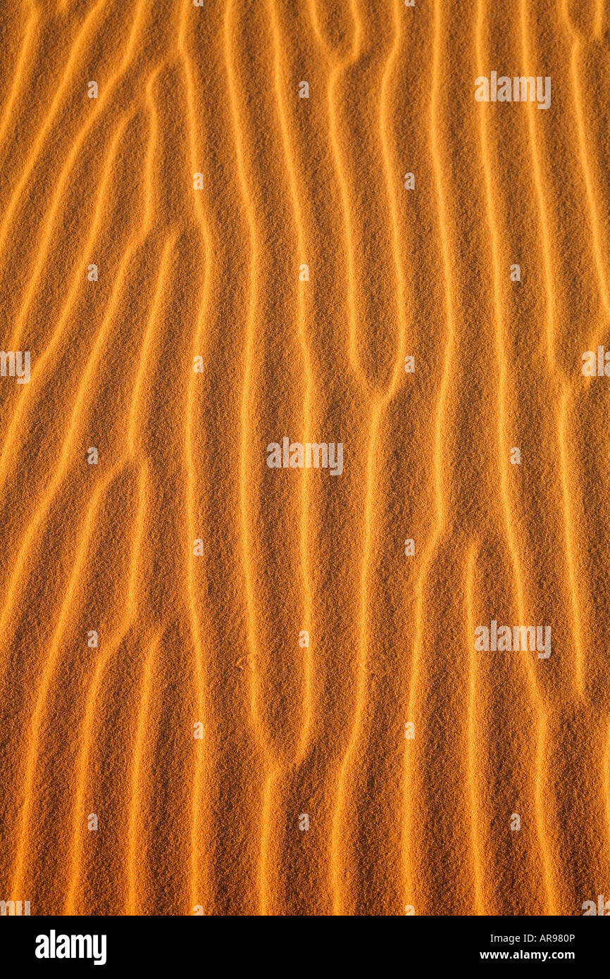 Close up sand hi-res stock photography and images - Alamy