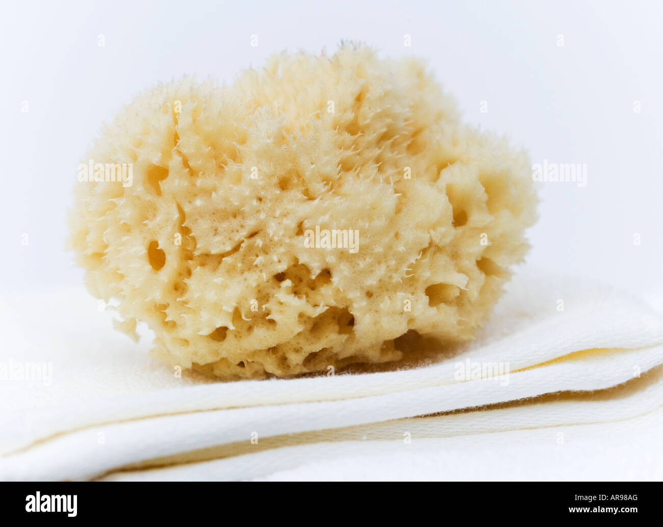 natural sponge on a cotton towel Stock Photo
