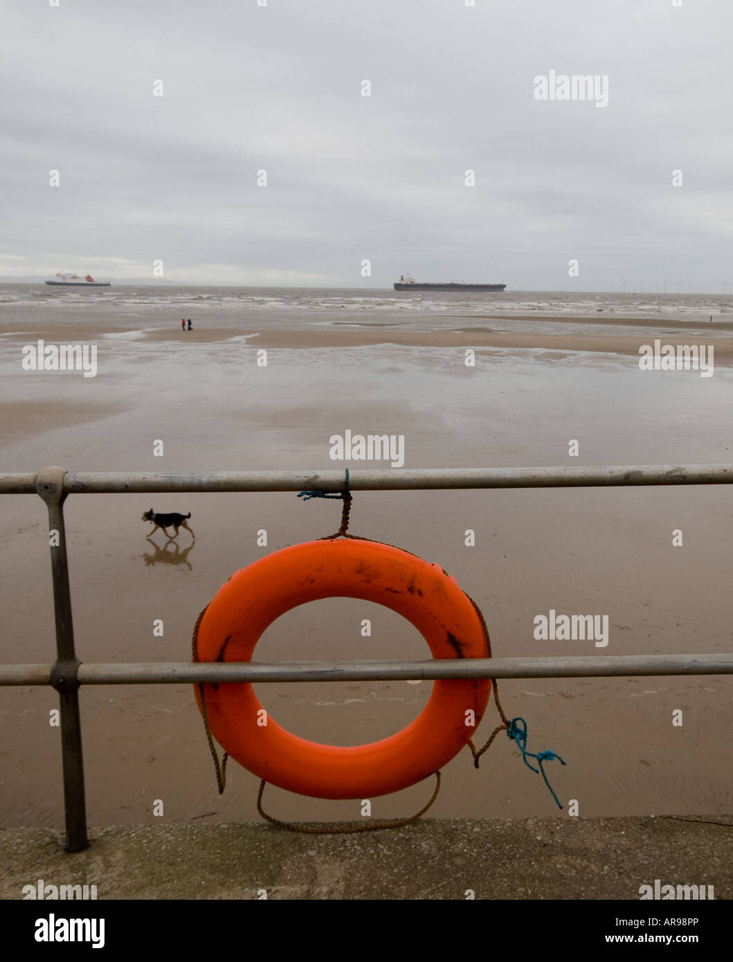 Dog on Crosby Beach Merseyside, UK Stock Photo Alamy