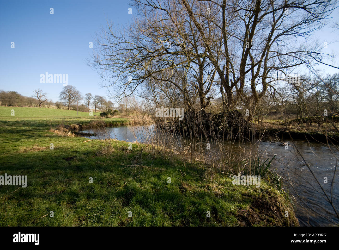 River Lea at Wheathampstead, Hertfordshire, UK Stock Photo