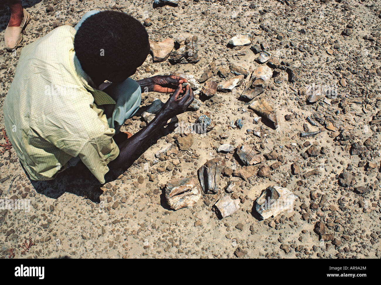 Koobi fora turkana hires stock photography and images Alamy