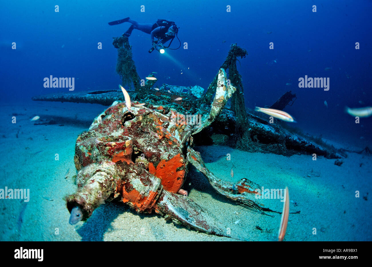 Messerschmidt 109 and scuba diver Mediterranean Sea Ile de Planier Marseille France Stock Photo