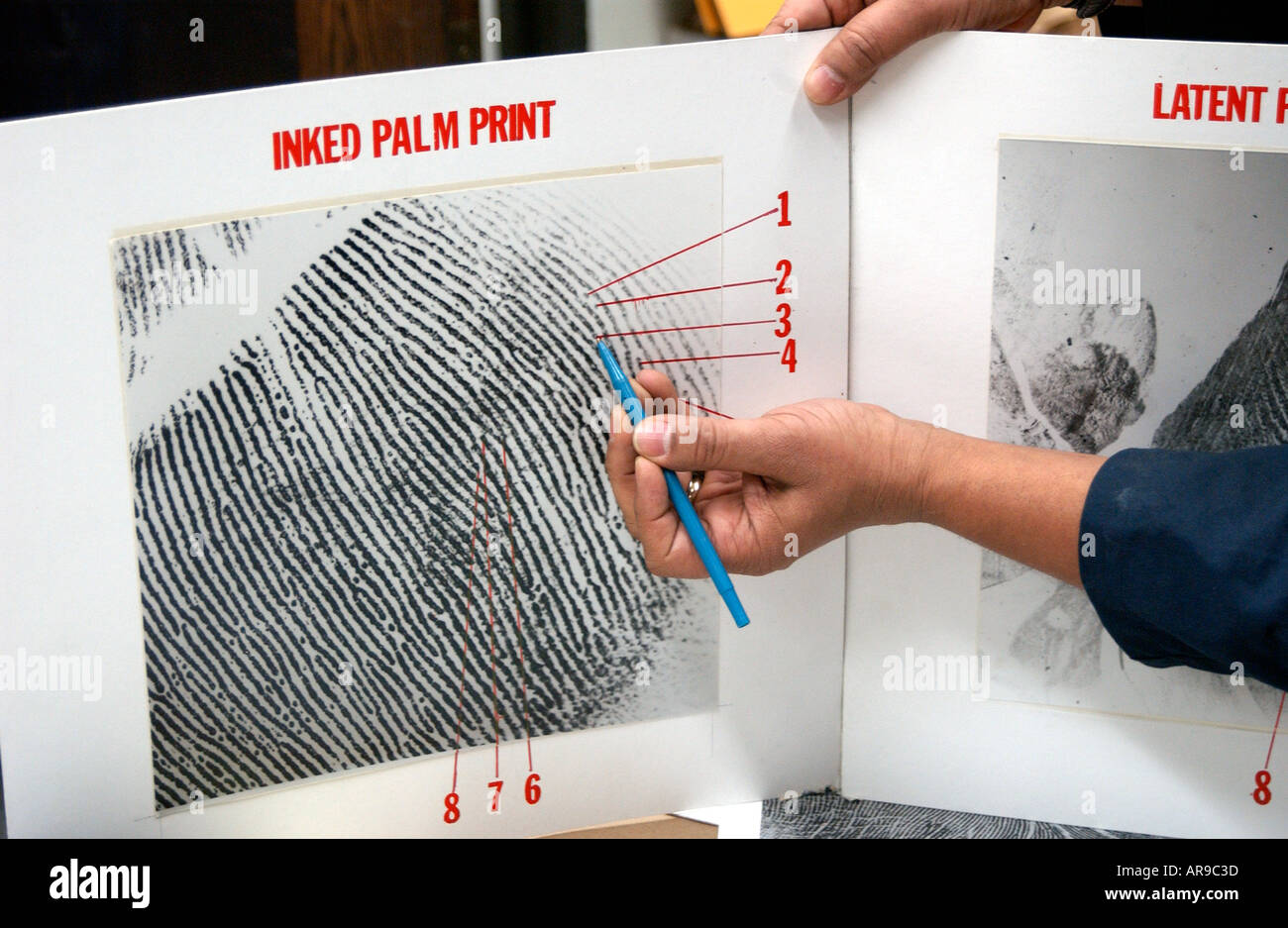 Police forensics examiner using technology to catch criminals Stock