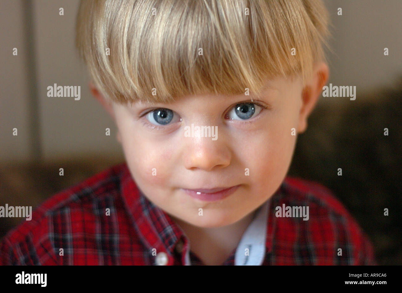 Small boy smiling looking at camera Stock Photo - Alamy