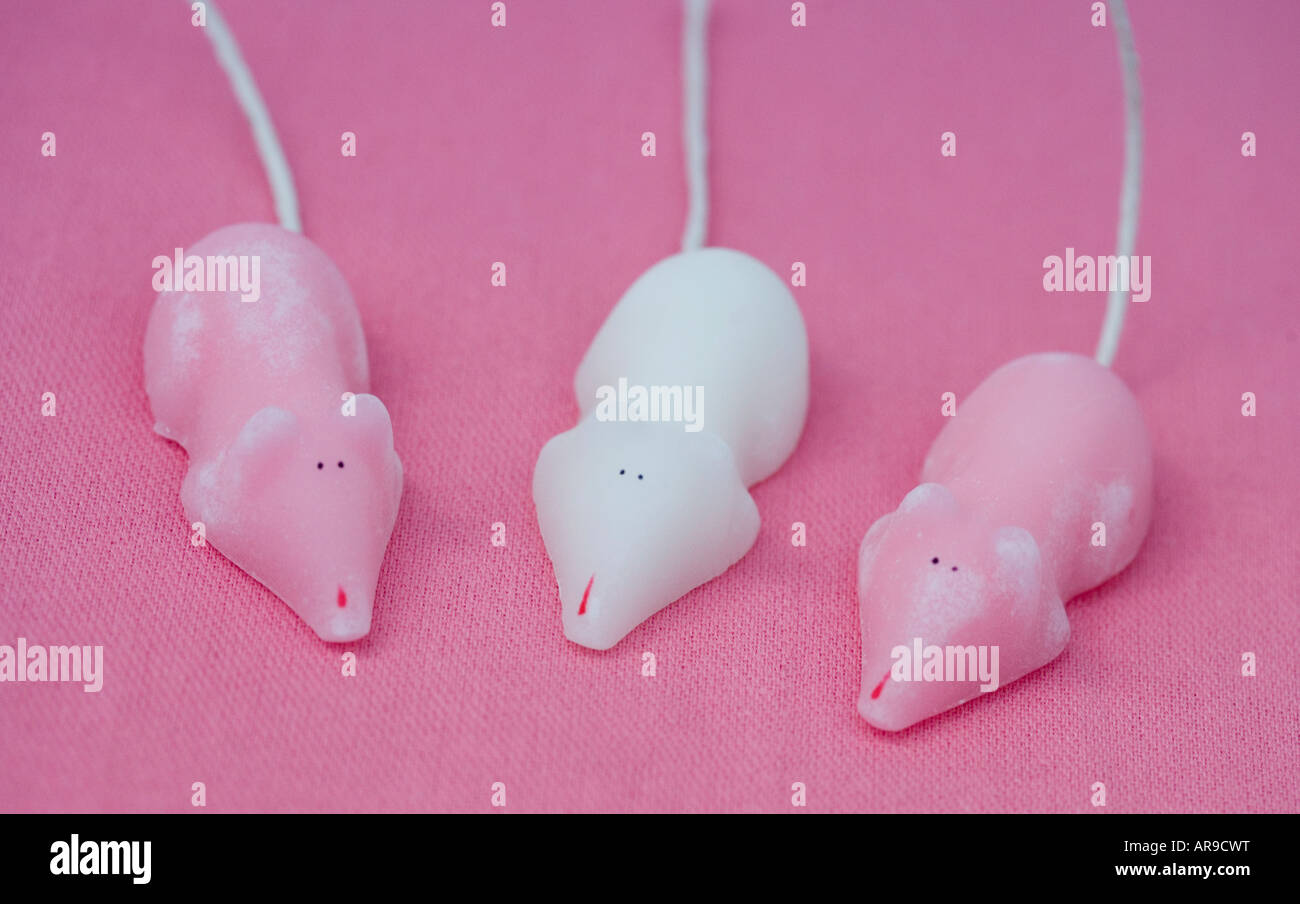 Pink and white sugar mice against a pink backdrop Stock Photo Alamy