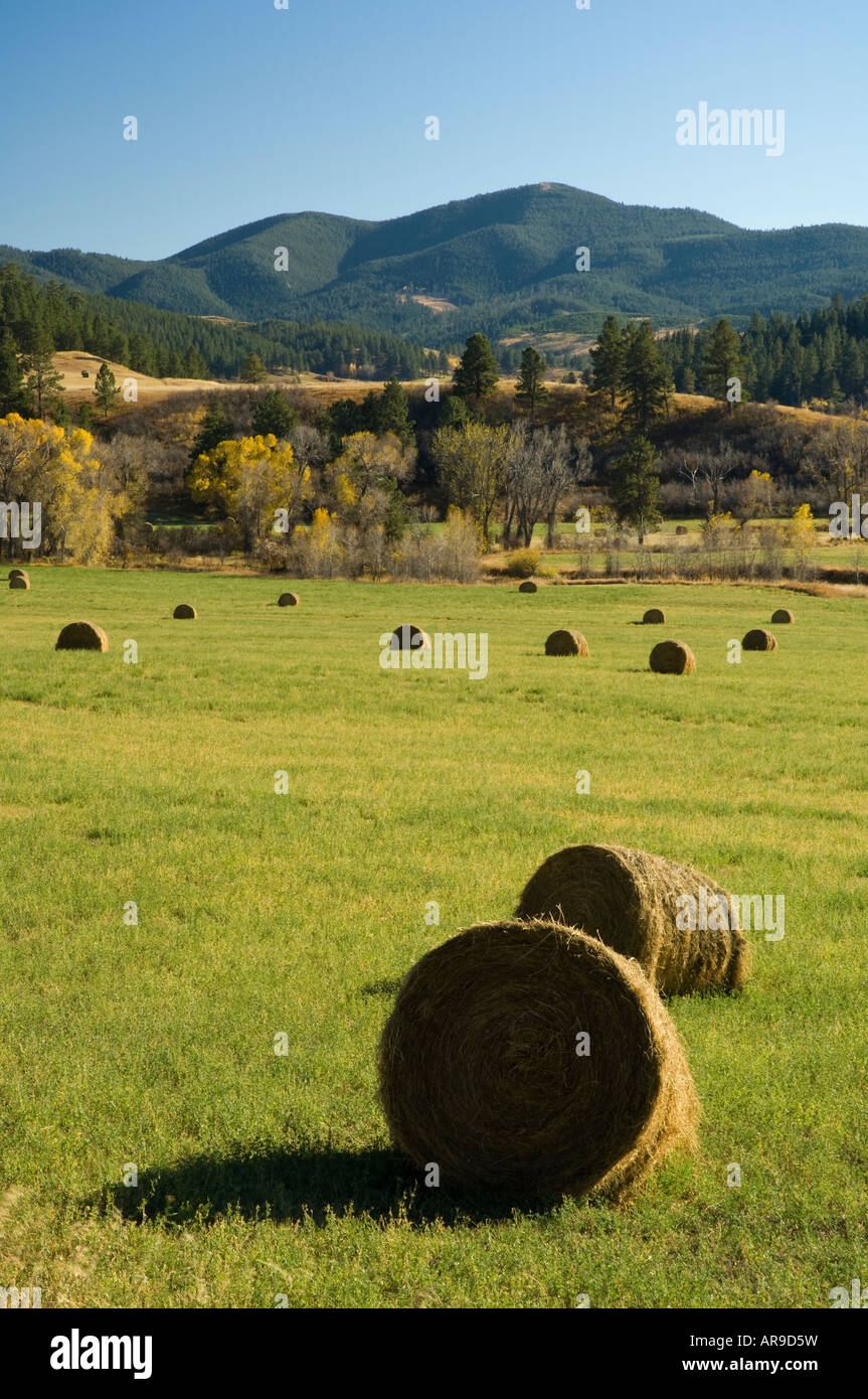 Lewistown mountains hires stock photography and images Alamy