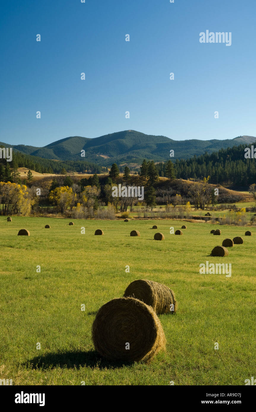 Judith Mountains High Resolution Stock Photography and Images - Alamy