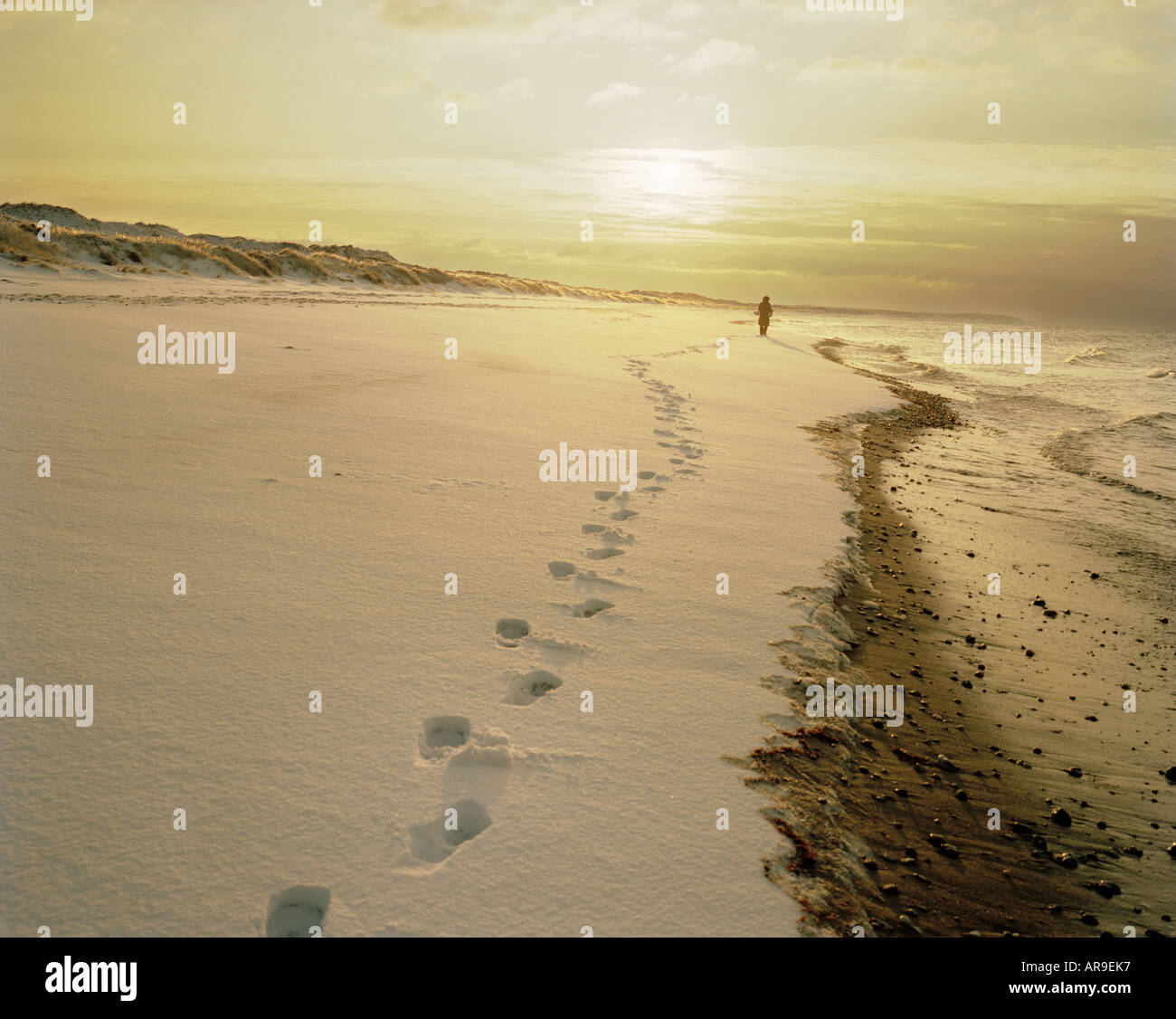 footprints in the snow and a person walking away in the distance on a beach southeast Sealand Denmark Stock Photo