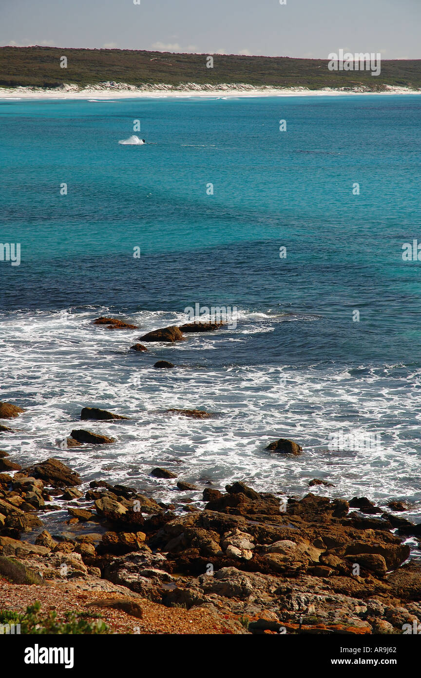 Whale frolicking off Point Ann Fitzgerald River National Park and Biosphere Reserve Western Whale frolicking off Point Ann Fitzgerald River National Park and Biosphere Reserve Western