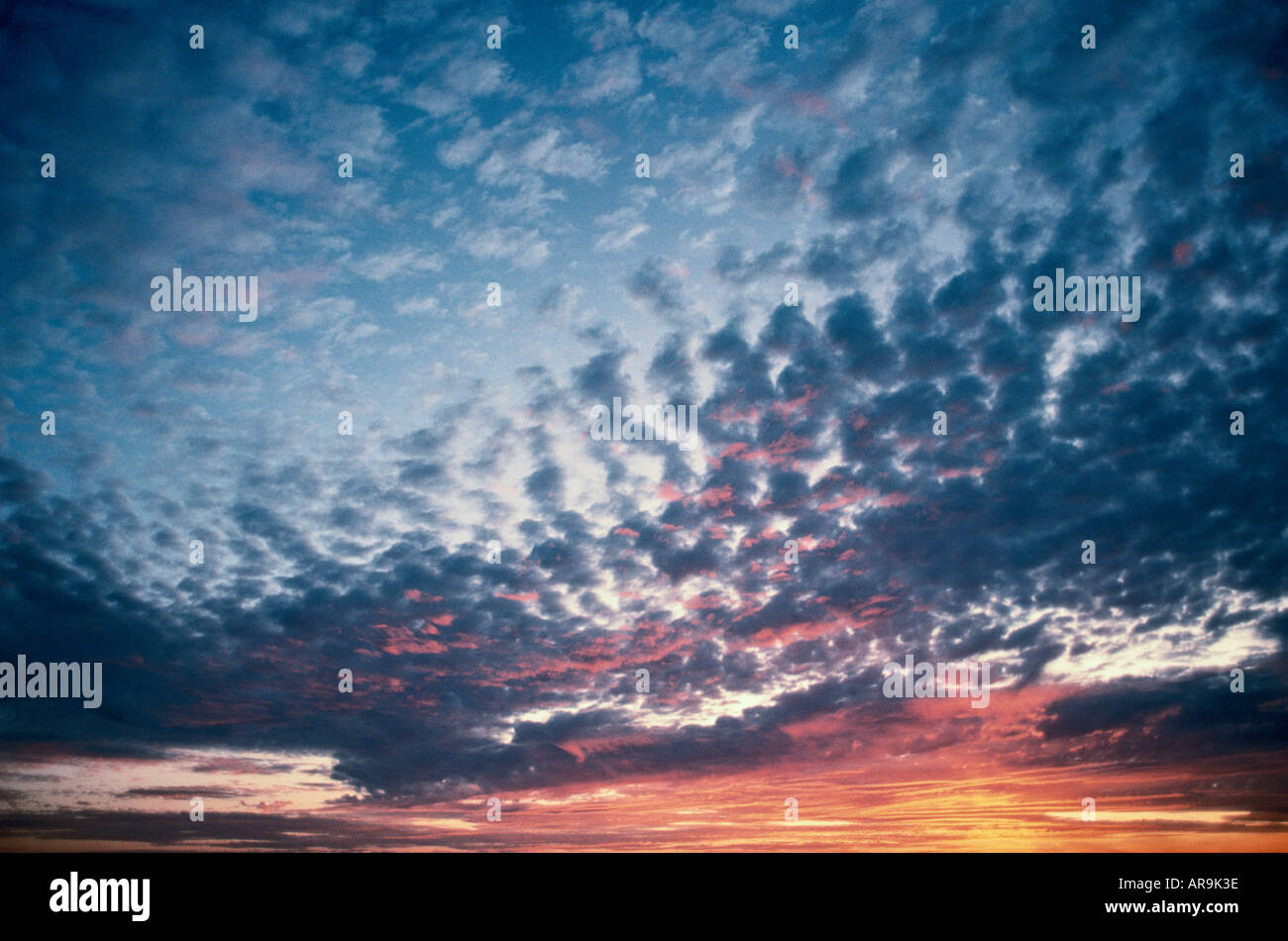 skyscape alto cumulus clouds at sunset sunrise dusk blue pink golden orange Stock Photo