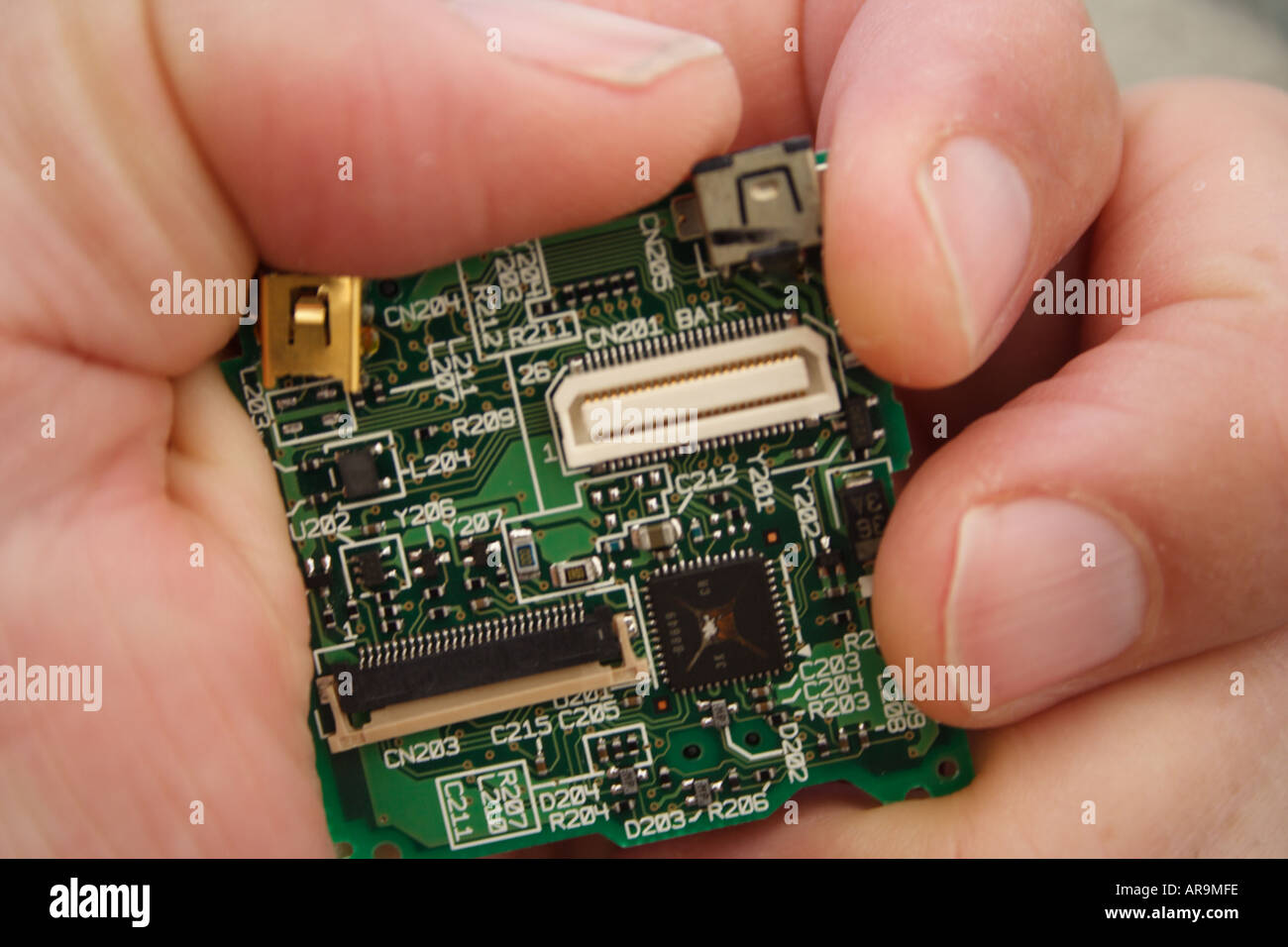 CIRCUIT BOARD IN A HAND Stock Photo - Alamy