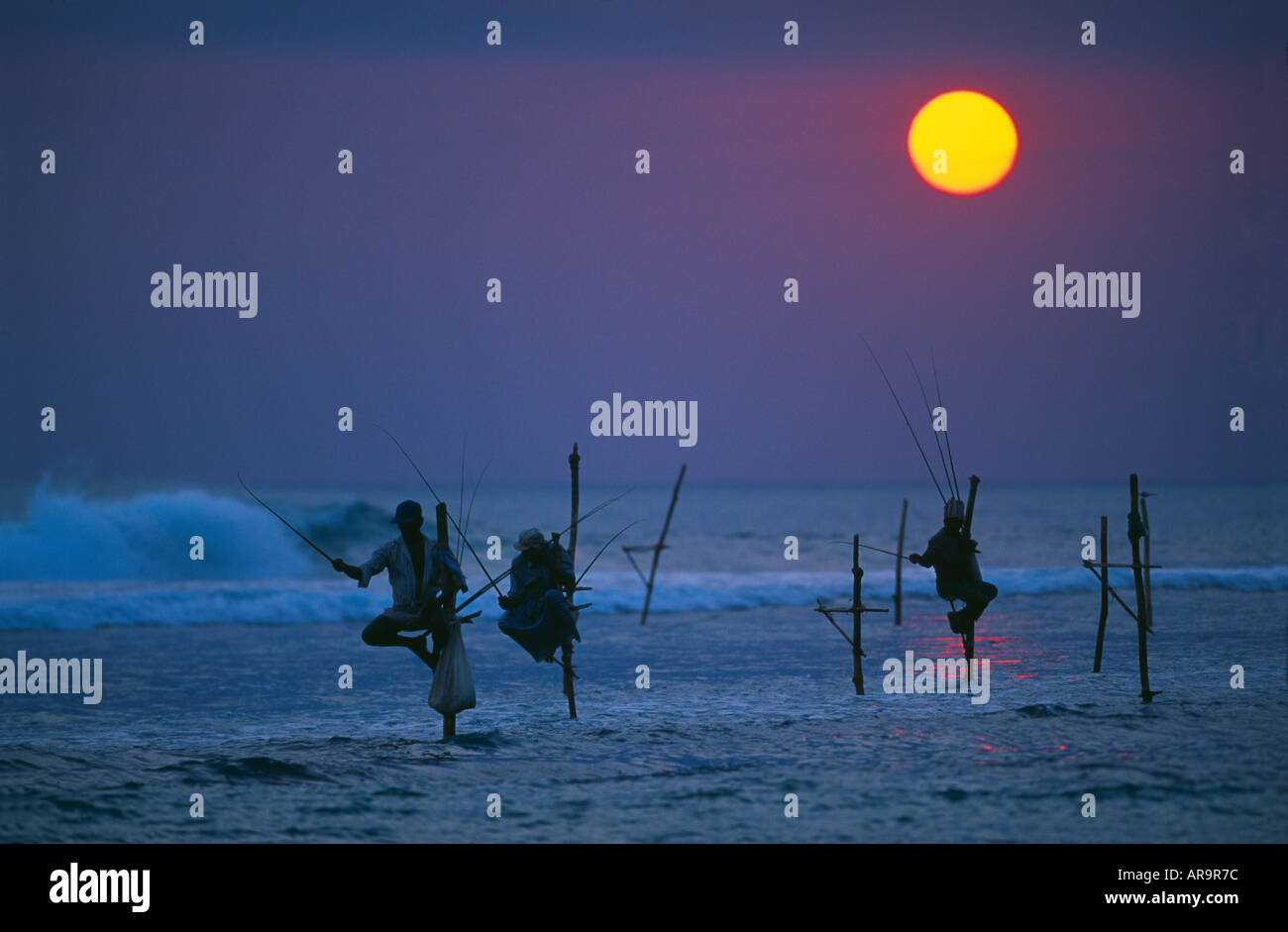 Stilt fishing sri lanka hi-res stock photography and images - Alamy