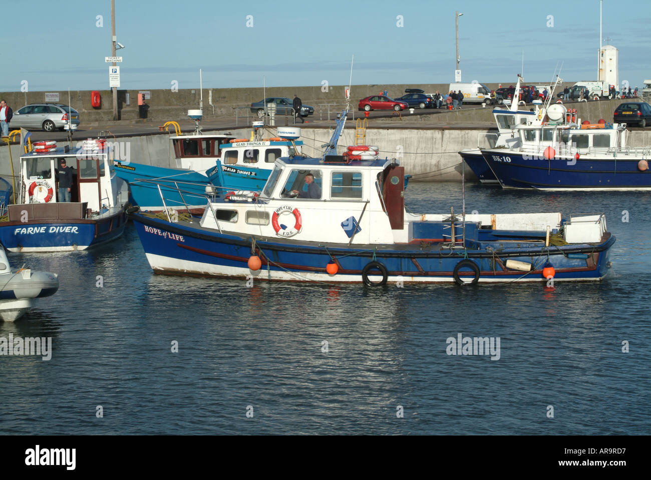 Hope of Life Farne Diver Diving Boats and Fishing Craft at Seahouses Harbour Northumberland Stock Photo