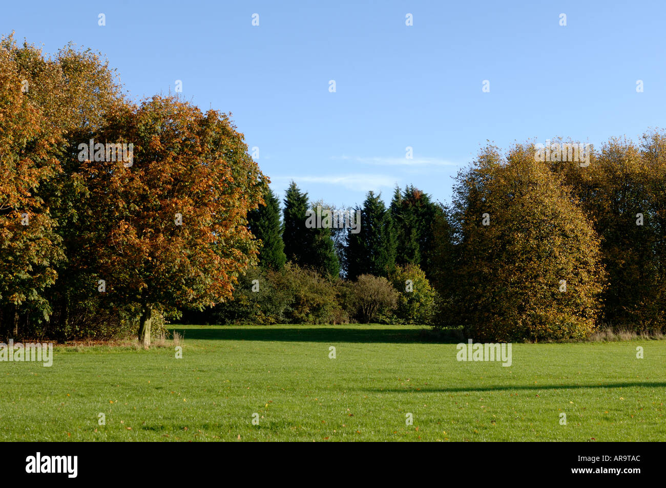 Autumn trees Halton village Runcorn Cheshire England UK Stock Photo
