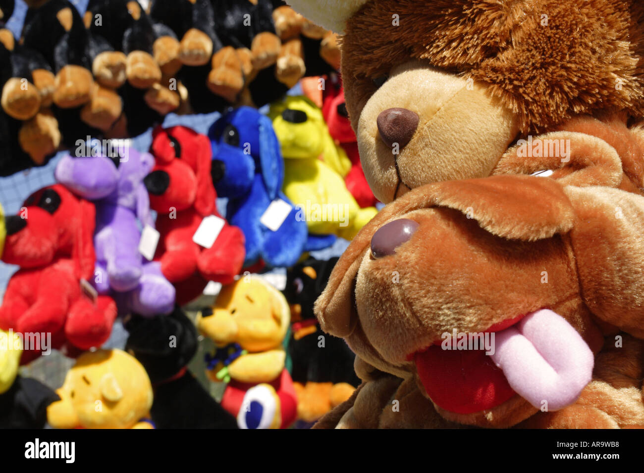 Stuffed animals at Playland Vancouver Canada Vancouver Canada Stock Photo -  Alamy