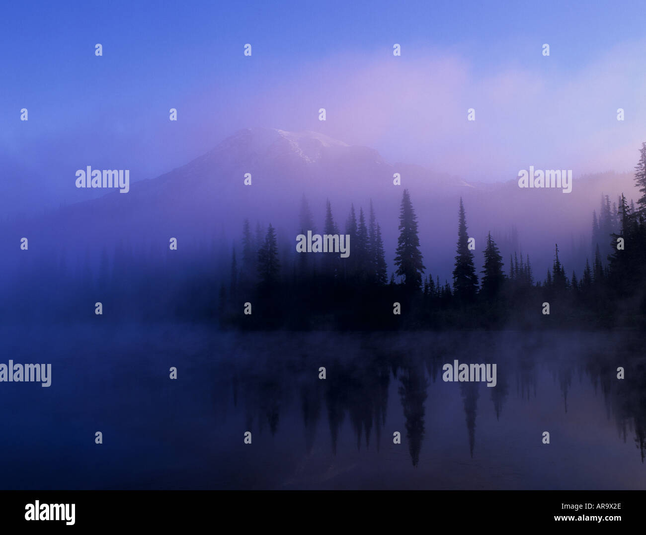 Mt Rainier, Mt Rainier National Park with Temperate Rainforest