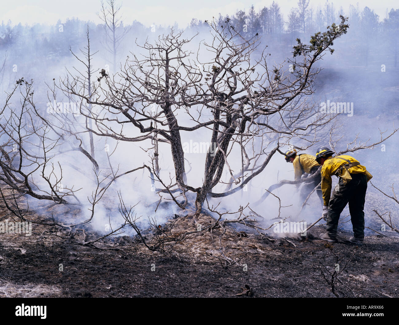 Fire Fighter damping down wildfire with foam / chemical Big Timber