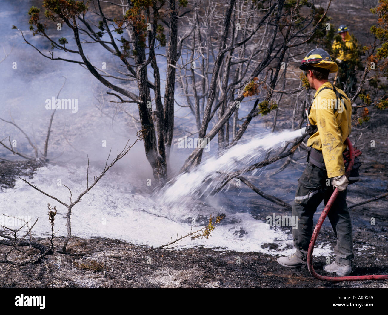 Fire Fighter damping down wildfire with foam/chemical, Big Timber