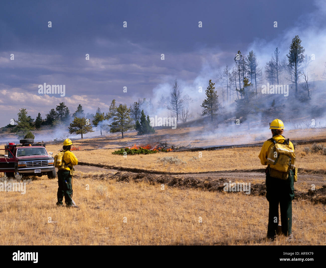 Fire Fighters in line, fighting wildfire, Big Timber, Montana, USA