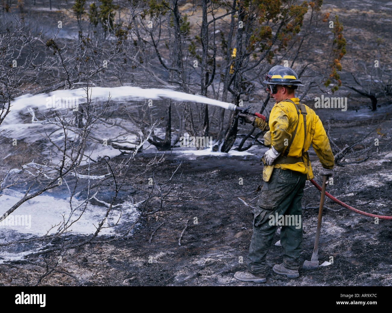 Fire Fighter damping down wildfire with foam / chemical, Big Timber