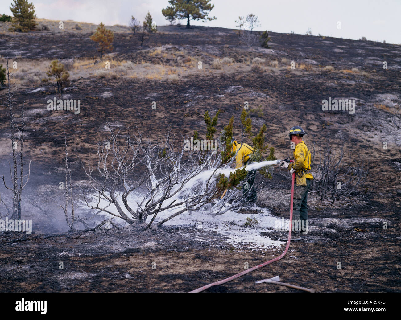 Fire Fighter damping down wild fire with foam/chemical, Big Timber