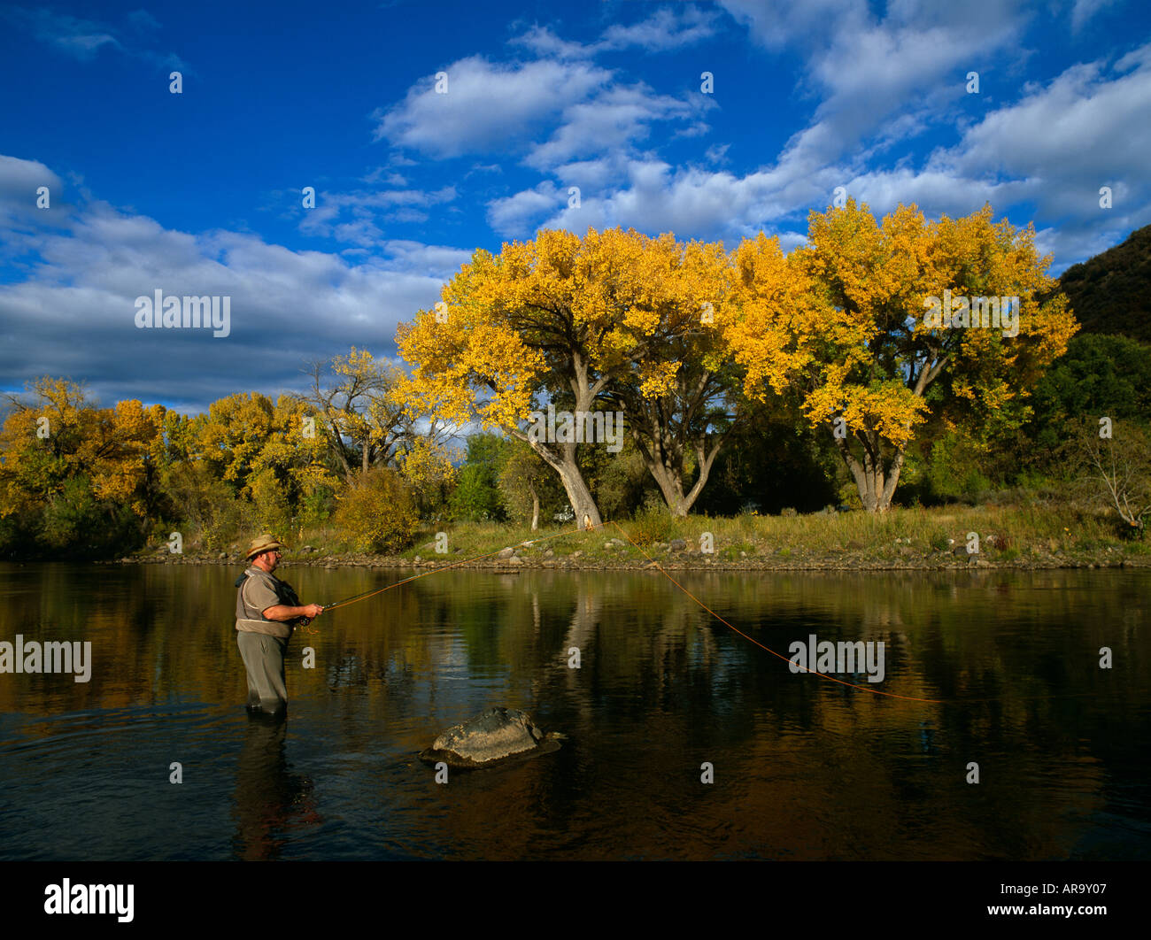Fly Fishing in USA, River Durango, Colorado, USA Stock Photo Alamy