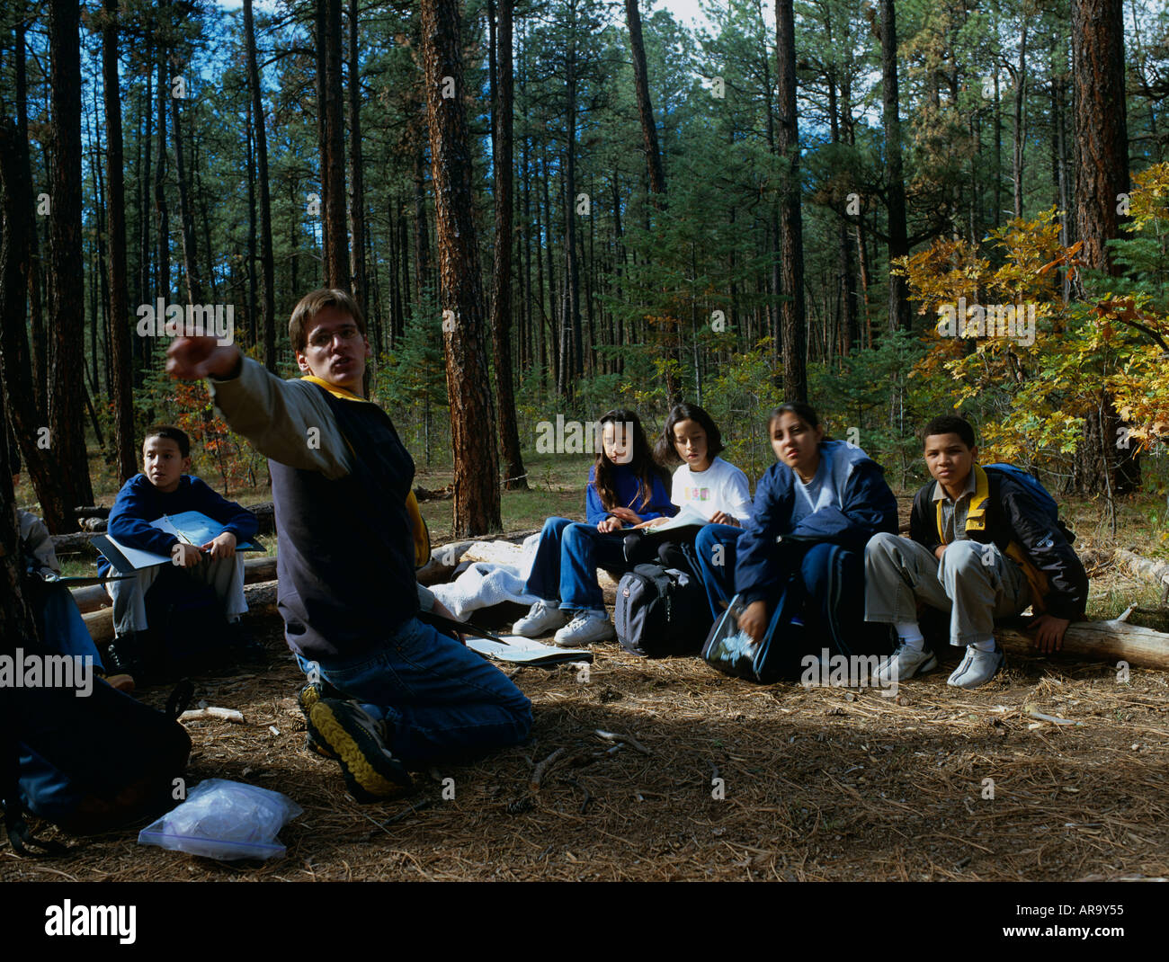 Ranger explaining biology to mixed race teenagers about Ponderosa Pine forest, Beaulah State Park, Colorado, USA Stock Photo