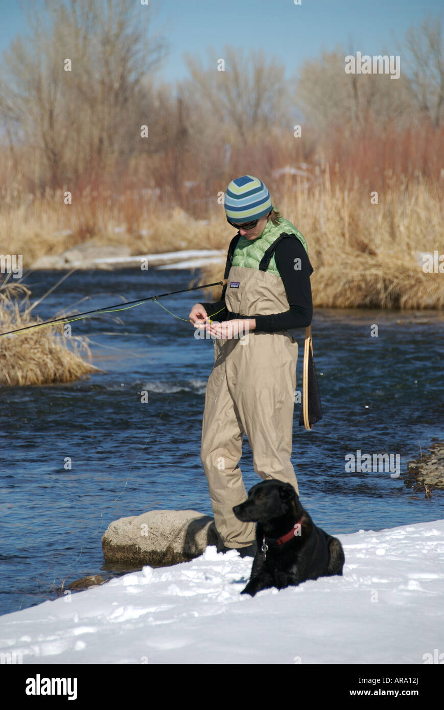 A woman selects a fly while fly fishing with her dog in the winter on the river