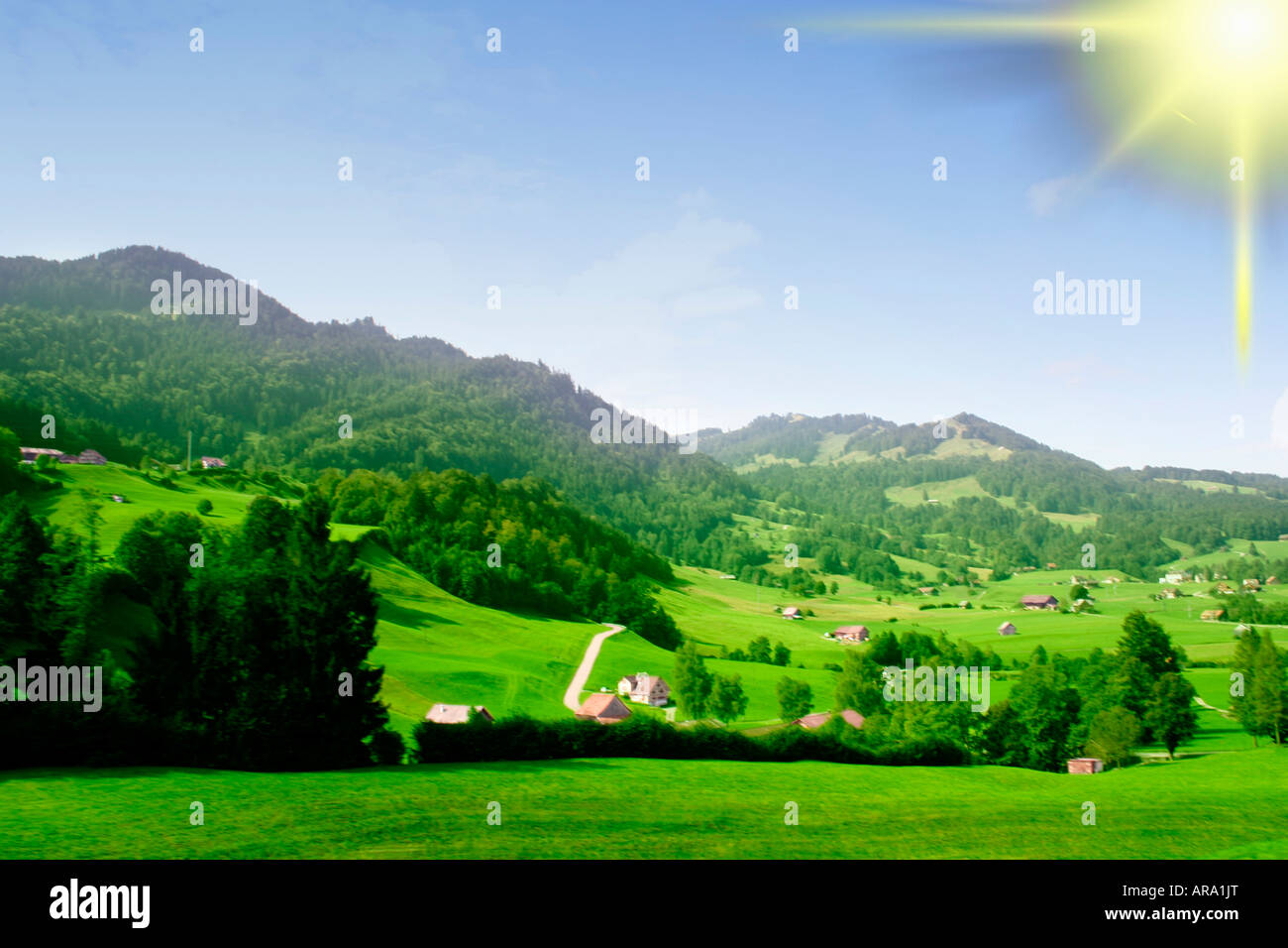 Summer landscape of young green forest with bright blue sky Stock Photo ...
