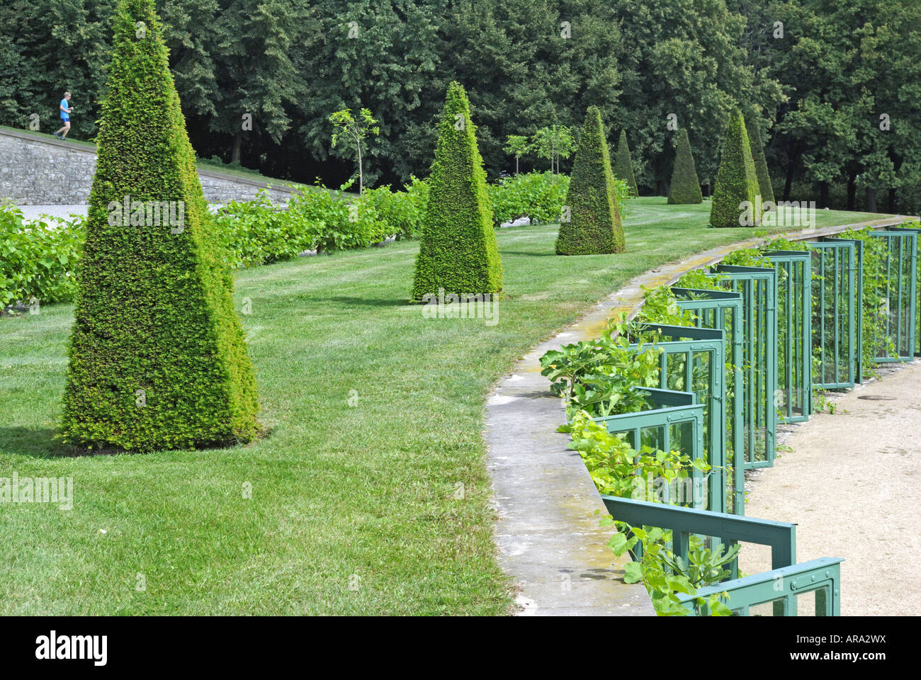 Potsdam, Schloss Sanssouci, terraces with topiary and glazed niches for growing figs Stock Photo