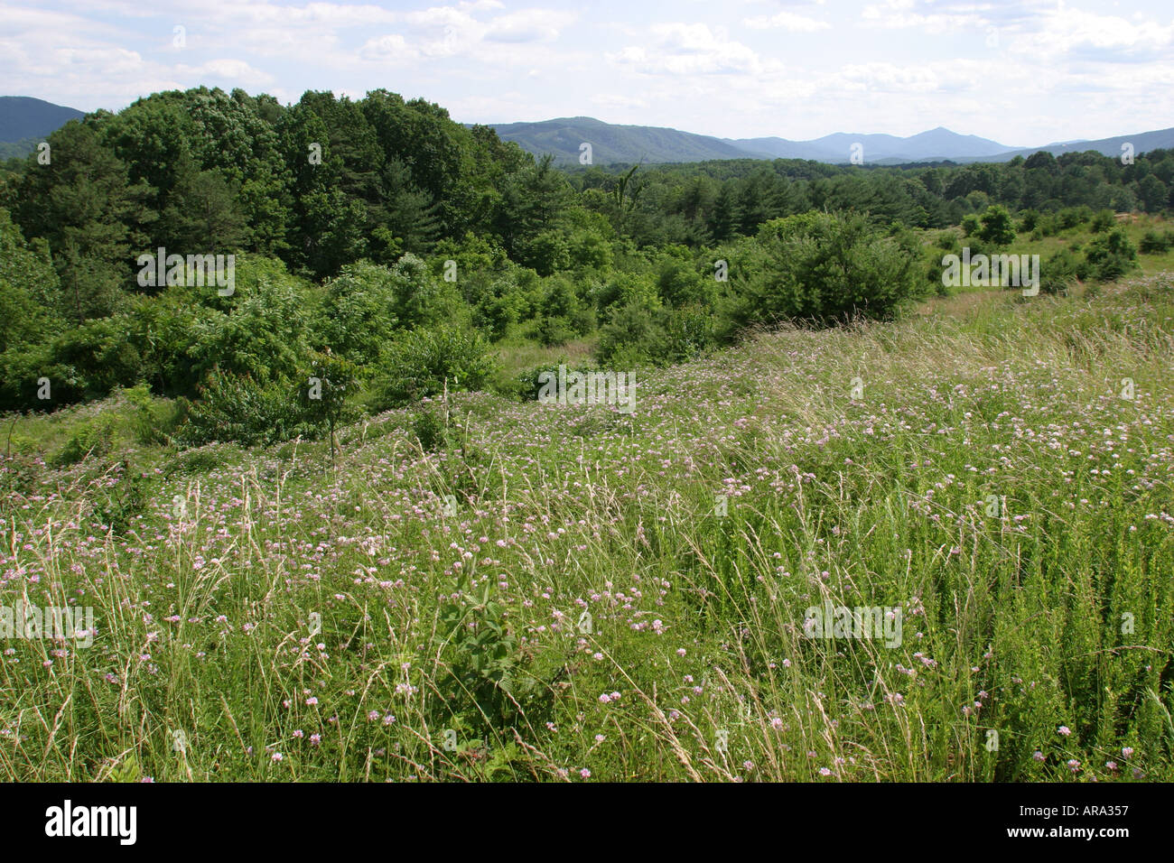 Virginia Appalachian Mountains,Southern Appalachia,Roanoke,Blue Ridge