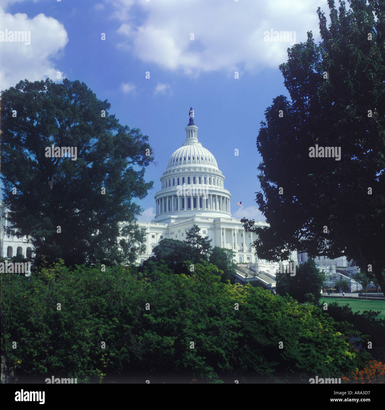 United States Senate Chamber Washington Stock Photos & United States Senate Chamber ...1300 x 1382