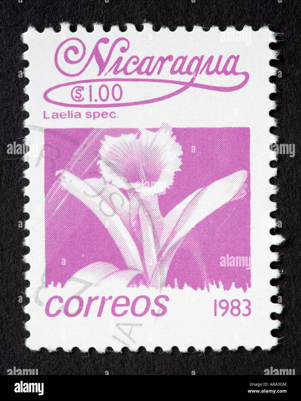Nicaraguan postage stamp Stock Photo - Alamy