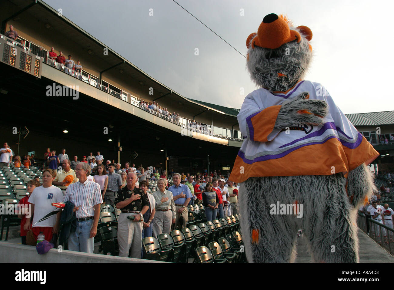 double aa baseball