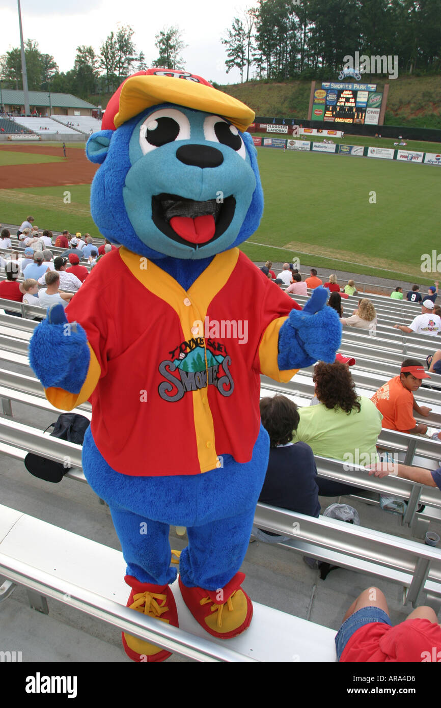 double aa baseball