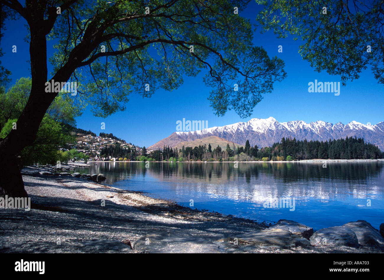 Queenstown lake beach hi-res stock photography and images - Alamy