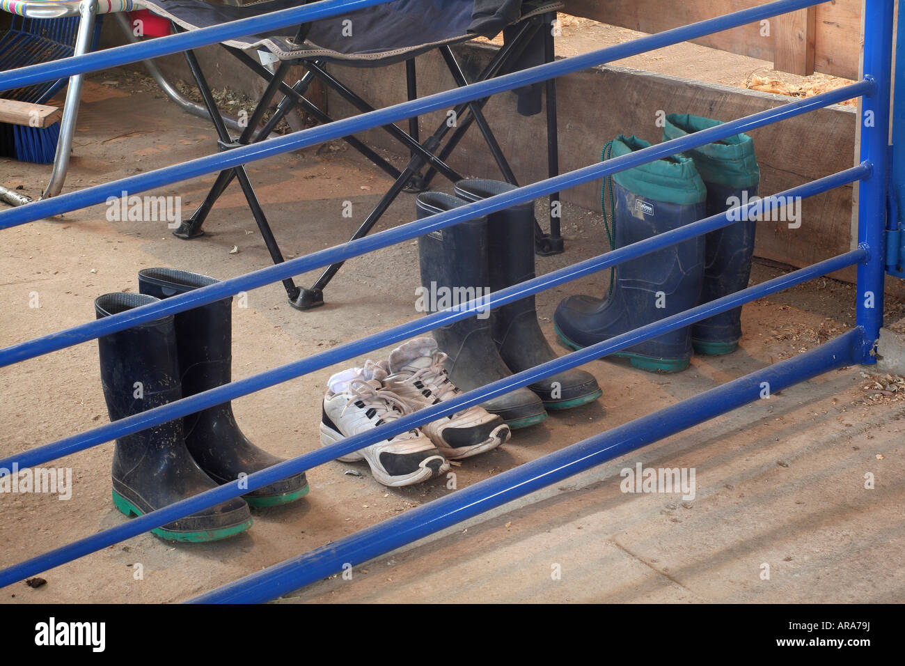 Footware for youth showing animals at county fair in Midwest US Stock Photo