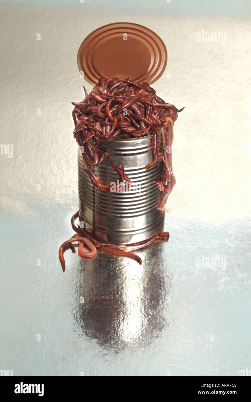 Can of worms hires stock photography and images Alamy