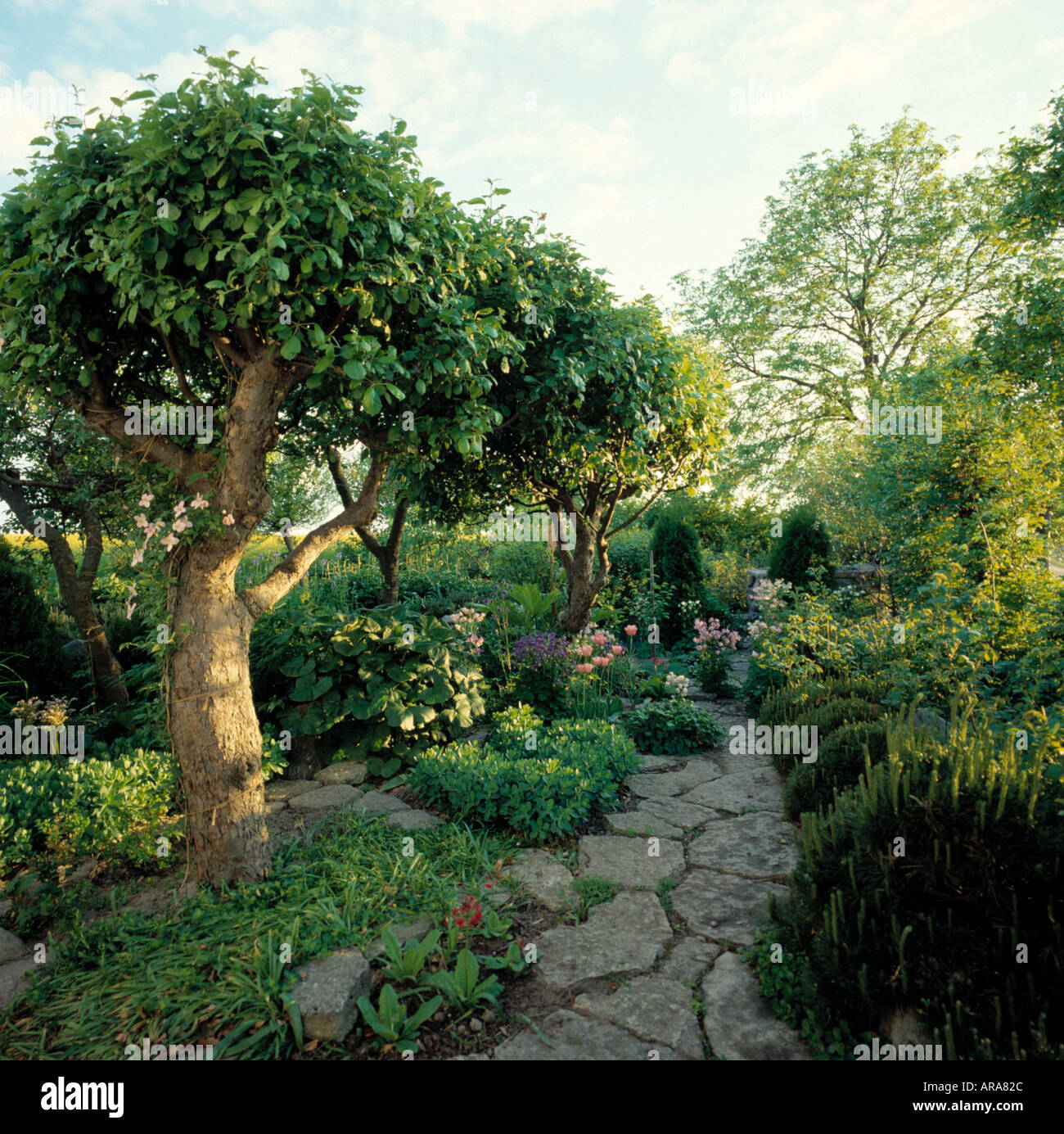 Garden with path and plants hi-res stock photography and images - Alamy