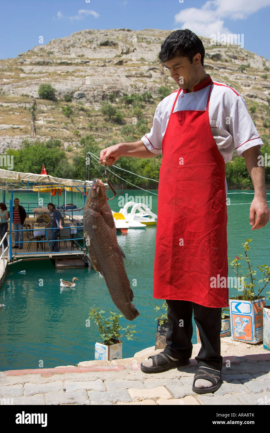 Man holding Shaboot fish Birecik Dam lake on the Euphrates river ...