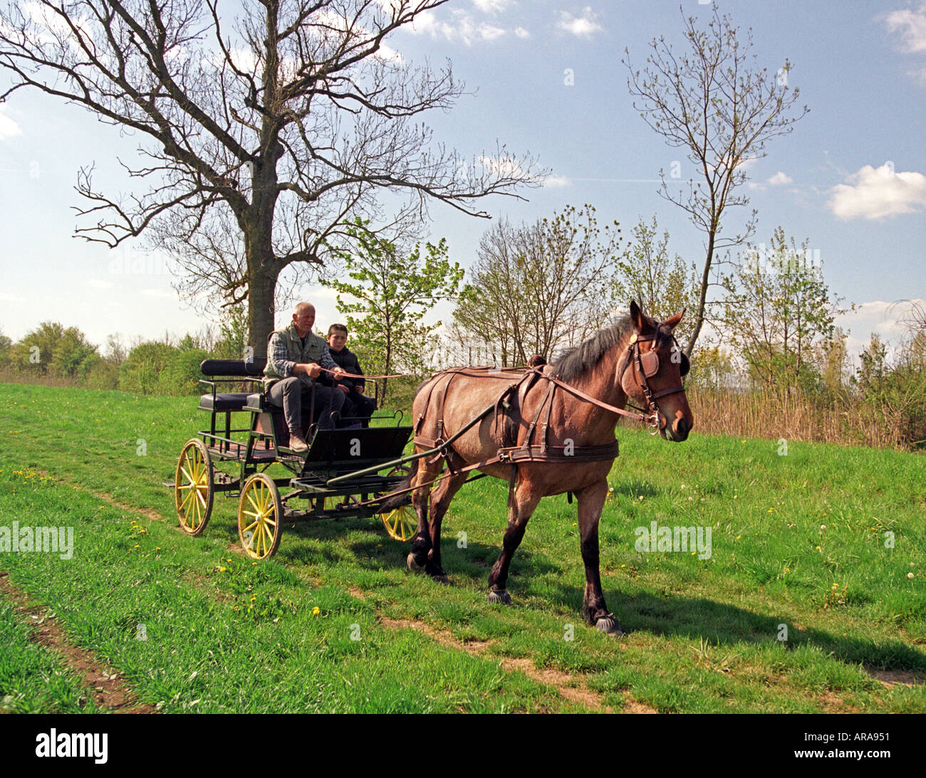 Horse cart ride hires stock photography and images Alamy