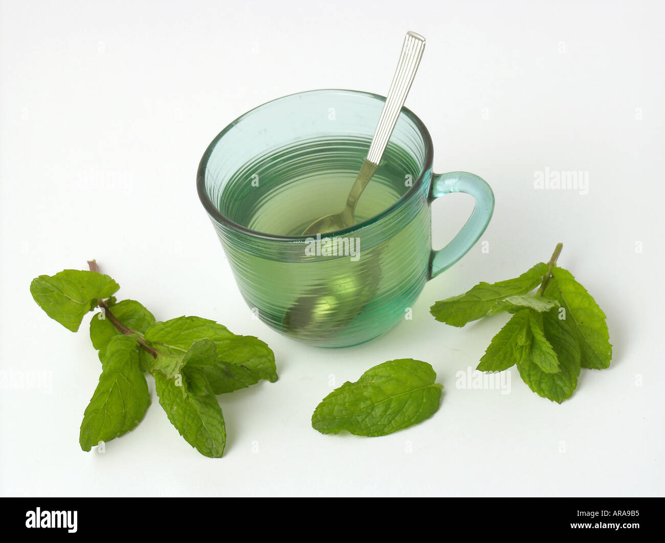 Mint herbal infusion Stock Photo Alamy